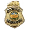 California Department Of Forestry CDF Crew Foreman Mini Badge Pin